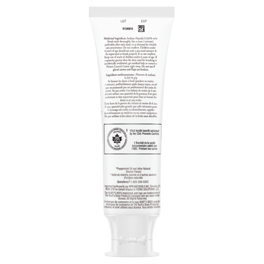 Enamel Care Mountain Mint Toothpaste with Fluoride 